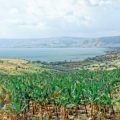 Jezioro Galilejskie